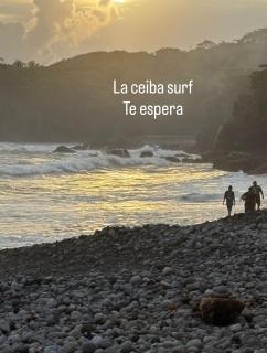 La ceibasurf - 3