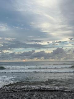 La ceibasurf - 1