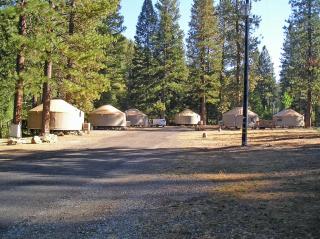 Yosemite Lakes Wheelchair Accessible Meadow Yurt 16 - Harden Flat - 4