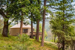 Yosemite Lakes Hillside Yurt 1 - 2