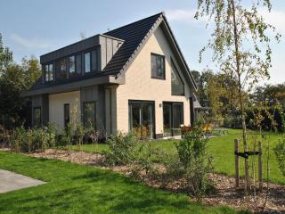 Villa in Texel near Beach and Nature Reserve - 9