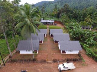 Sinharaja Forest Sanctuary - 9