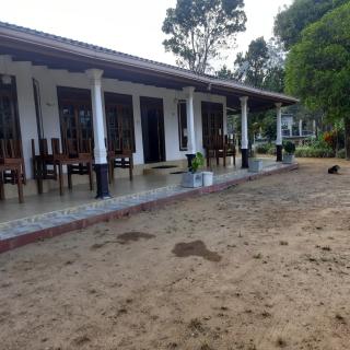 Argyle rock bungalow - 3