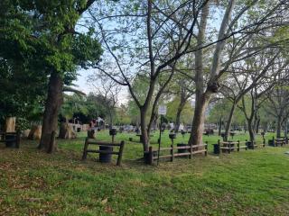 De Hollandsche Molen - GEM - 5