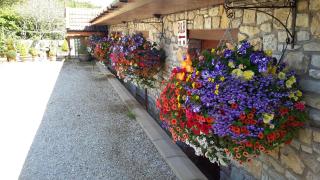 Bridge Farm Guesthouse rooms - Bristol - 6