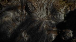 La Couette de l'Ours - 4