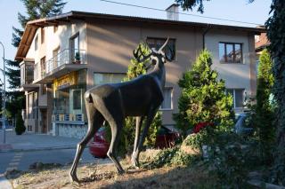 Guest House Elena - Velingrad - 5