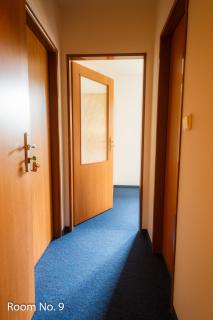 Penzion Iris Krkonoše - Horní Maršov - 8