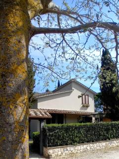 I Gelsi di Colombata Locazione turistica breve in campagna - 5