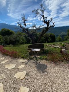 Chambre une fenêtre sur le Ventoux la Clue - 7