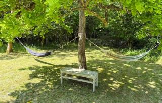 Pet Friendly Home In Nexø With Wifi - 4