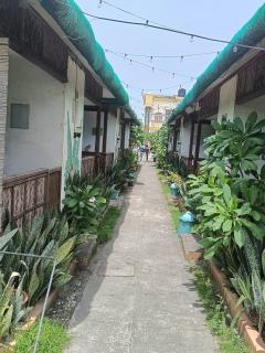 La Patricia Hotel - Baler - 3