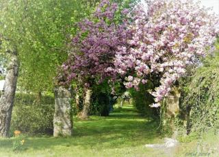 les gites du verger - 1