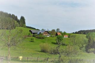 Sigmundenhof Schonach - 1