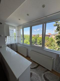 Small apartment in Hunedoara - 4