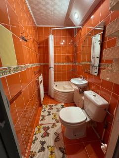 Small apartment in Hunedoara - 3