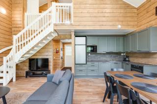 Levin Karpaasi Visit Levi - 3