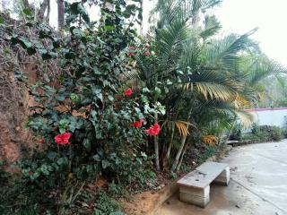 Somanna Estate villa - 4