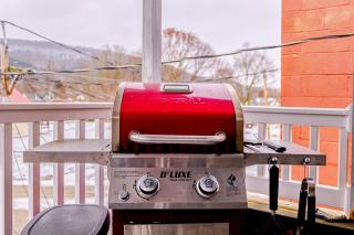 Lovely 2 bedroom apartment downtown Canisteo - 9