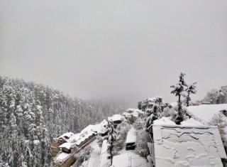 CedarNest by Yoshika - Forest Boutique Retreat With Bonfire - 5