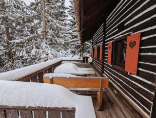 Sechszirbenhütte am Falkert 1700 m - 9