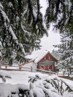 Sechszirbenhütte am Falkert 1700 m - 8