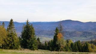 Pod Kasztanem - 4