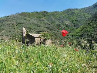 Casa Micino grazioso bilocale nel centro storico di Badalucco - 5