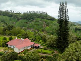 Sereniva Orange Grove Bungalow - 6