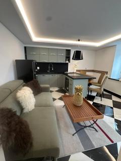 Unique Losone Apartment - 9