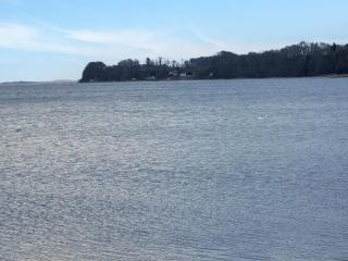 Holiday Home Majbritt - 50m from the sea by Interhome - 1