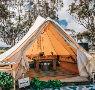 Coastal Glamp at Bellarine Estate winery - 9