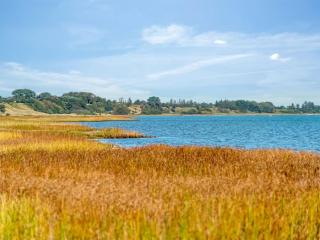 Holiday Home Devis - from the sea by Interhome - 9