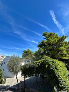 Apartmani Kim - 7