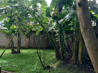 Antique Villa - Arusha Garden Home - 3