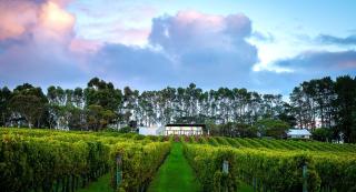 Infine' Finally time to unwind - 3