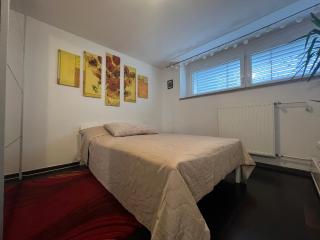 Cozy Pet Friendly Apartment Freshly Renovated - 5