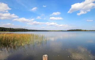 Fh Maisgelb - Warenthin - 1