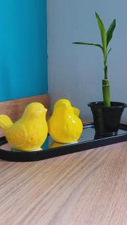 Estúdio completo próximo da Universidade WiFi - 1