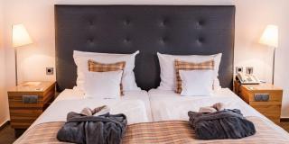 Göbels Schlosshotel "Prinz von Hessen" - 8