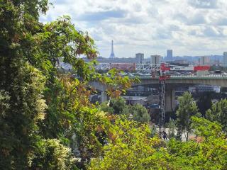 Notre Dame d'Orgemont - Gris 5 - 4