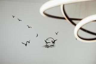 Lakeview stay, stunning sunrises - 2