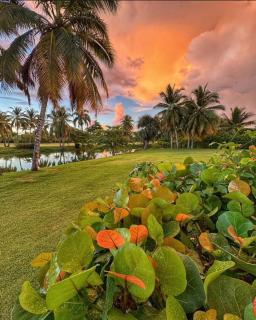 Splendid tropical style apartman - 9