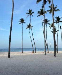 Splendid tropical style apartman - 8