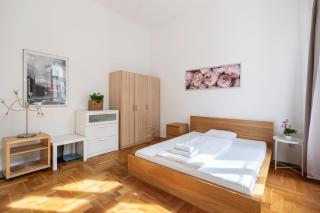 Bajcsy Boulevard Loft - 9