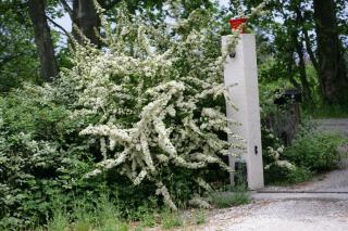 Avignon Grand Mas XXL avec Piscine, parc et Mazet - 7