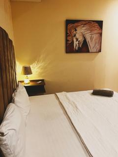 Hill view 2 bedroom premium apartment - 1
