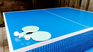 Heated Cocktail Pool, Putt Putt, Bowling, BBQ, Nintendo, Pet Friendly, Ping Pong - 5