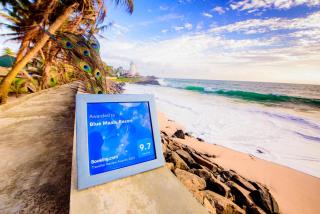 Blue Maalu Resort - 0