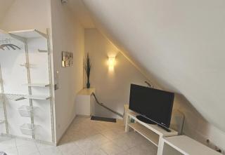Solaris Ferienwohnung 53qm Netflix Glasfaser 76771 Hördt - 5
